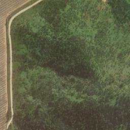 Satellite imagery of Lagartos, CL