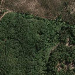 Satellite imagery of Cerro Los Grillos, CL