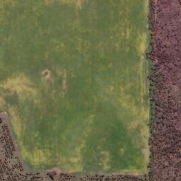 Satellite imagery of Cowalellup, AU
