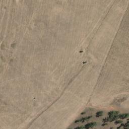 Satellite imagery of Bribbaree Mountain, AU