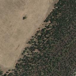 Satellite imagery of Bribbaree Mountain, AU