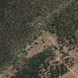 Satellite imagery of Bribbaree Mountain, AU