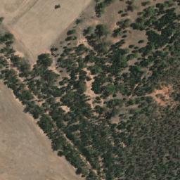 Satellite imagery of Bribbaree Mountain, AU