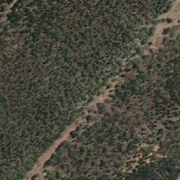 Satellite imagery of Bribbaree Mountain, AU