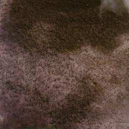 Satellite imagery of Cowalellup, AU