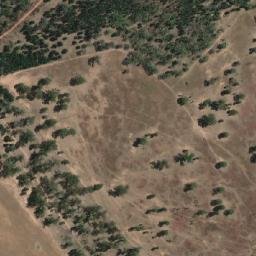 Satellite imagery of Bribbaree Mountain, AU
