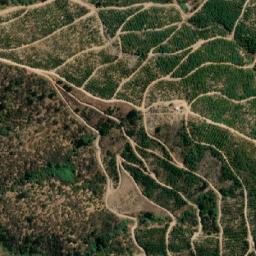 Satellite imagery of El Mogote, CL