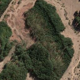 Satellite imagery of Cerro El Tiuque, CL