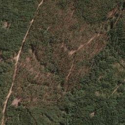 Satellite imagery of Cerro El Tiuque, CL