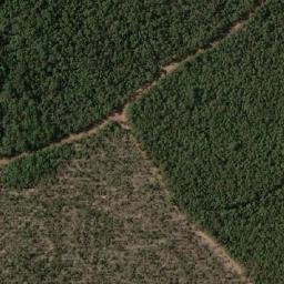 Satellite imagery of Donnelly Point, AU