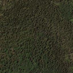 Satellite imagery of Kooragang Mountain, AU