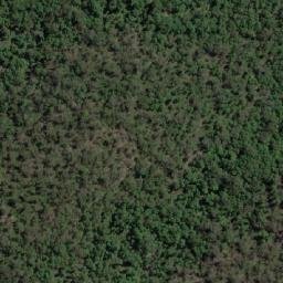Satellite imagery of Mount Burragorang, AU
