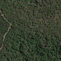 Satellite imagery of Mount Burragorang, AU