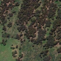 Satellite imagery of Snowy Mountain, AU