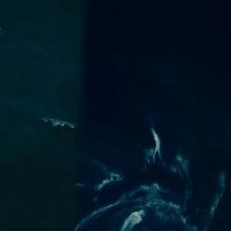 Satellite imagery of Die Punt, ZA