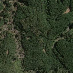 Satellite imagery of Monte Alto, CL