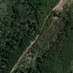 Satellite imagery of El Peumo, CL