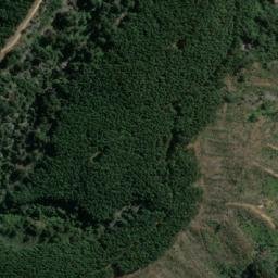 Satellite imagery of El Peumo, CL