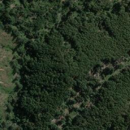 Satellite imagery of El Peumo, CL