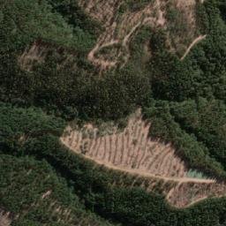 Satellite imagery of Quemado, CL