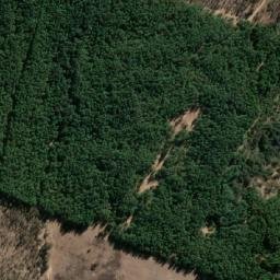 Satellite imagery of Quillay, CL