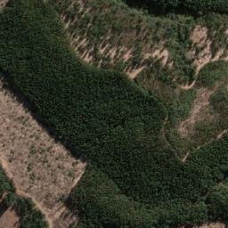 Satellite imagery of Quemado, CL