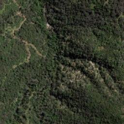 Satellite imagery of Coligüe, CL