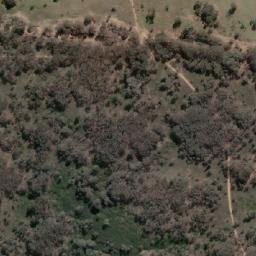 Satellite imagery of Box Hill, AU