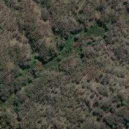 Satellite imagery of Box Hill, AU