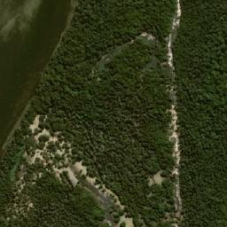 Satellite imagery of Mangrove Point, AU