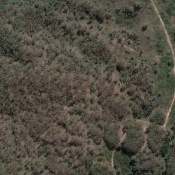 Satellite imagery of Box Hill, AU