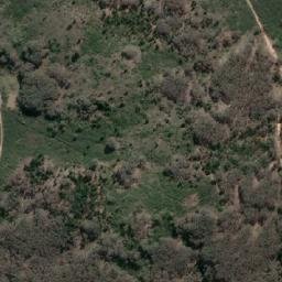 Satellite imagery of Box Hill, AU