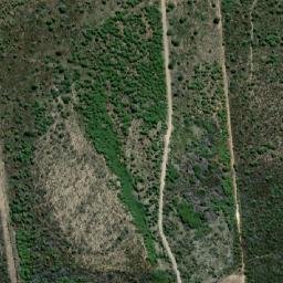 Satellite imagery of RIV 81, ZA