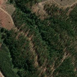 Satellite imagery of Palo Amarillo, CL
