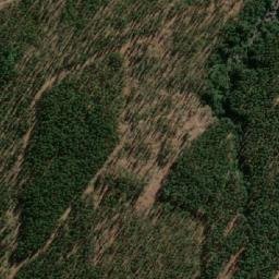 Satellite imagery of Palo Amarillo, CL