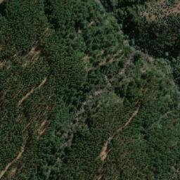 Satellite imagery of Palo Amarillo, CL