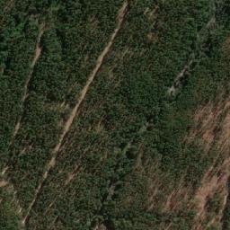 Satellite imagery of Palo Amarillo, CL