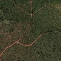 Satellite imagery of Palo Amarillo, CL