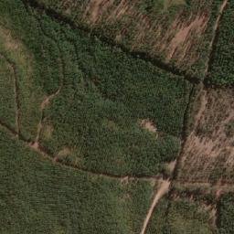 Satellite imagery of Palo Amarillo, CL