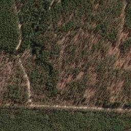 Satellite imagery of Palo Amarillo, CL