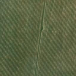 Satellite imagery of KADY, ZA