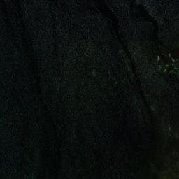 Satellite imagery of Point Warrenne, AU