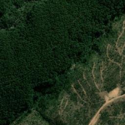 Satellite imagery of Coliguayes, CL