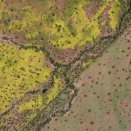 Satellite imagery of Cerro Los Loros, CL