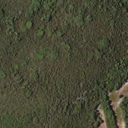 Satellite imagery of White Point, AU