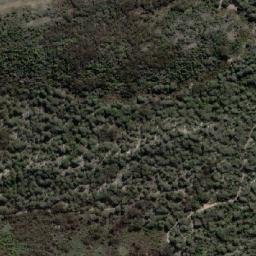 Satellite imagery of Whalebone Point, AU