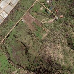 Satellite imagery of Cerro La Torina, CL