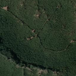 Satellite imagery of La Palma, CL