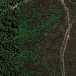 Satellite imagery of Mount Brisbane, AU