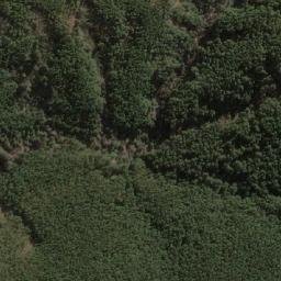 Satellite imagery of Cerro Rincón, CL